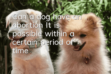 Can a dog have an abortion? It is possible within a certain period of time!