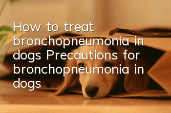How to treat bronchopneumonia in dogs Precautions for bronchopneumonia in dogs