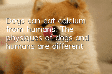 Dogs can eat calcium from humans. The physiques of dogs and humans are different!