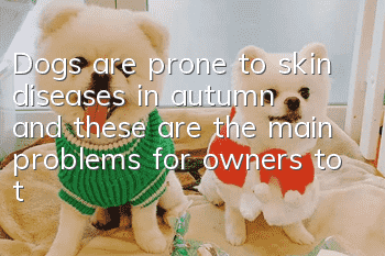 Dogs are prone to skin diseases in autumn, and these are the main problems for owners to take care of!