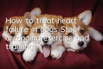 How to treat heart failure in dogs? Stop arranging exercise and training!