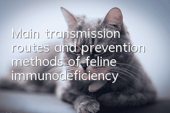 Main transmission routes and prevention methods of feline immunodeficiency