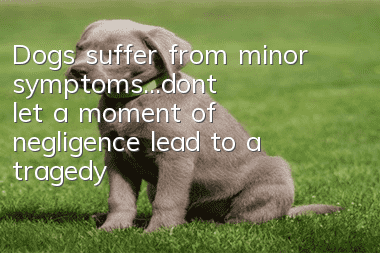 Dogs suffer from minor symptoms...don't let a moment of negligence lead to a tragedy!