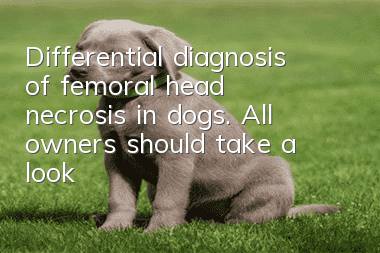 Differential diagnosis of femoral head necrosis in dogs. All owners should take a look!