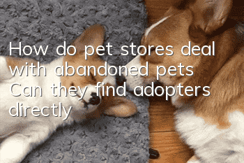 How do pet stores deal with abandoned pets? Can they find adopters directly?