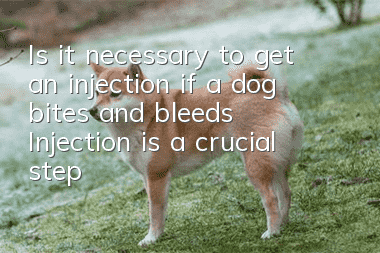 Is it necessary to get an injection if a dog bites and bleeds? Injection is a crucial step to save life!