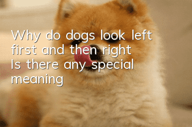 Why do dogs look left first and then right? Is there any special meaning?