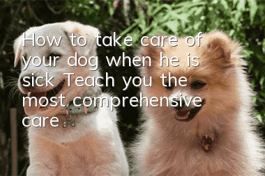 How to take care of your dog when he is sick? Teach you the most comprehensive care!