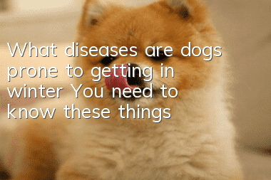 What diseases are dogs prone to getting in winter? You need to know these things!