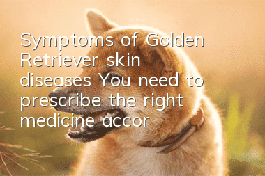 Symptoms of Golden Retriever skin diseases: You need to prescribe the right medicine according to different diseases!
