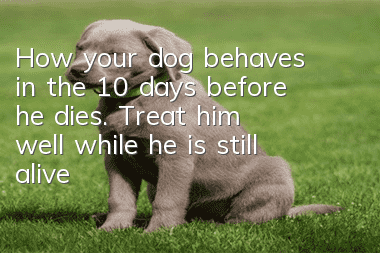 How your dog behaves in the 10 days before he dies. Treat him well while he is still alive!