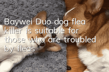 Baywei Duo dog flea killer is suitable for those who are troubled by fleas!