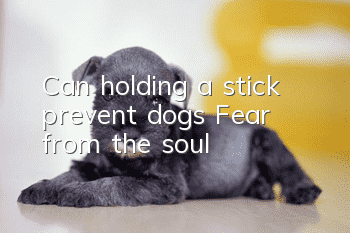 Can holding a stick prevent dogs? Fear from the soul!