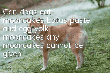 Can dogs eat mooncakes? Lotus paste and egg yolk mooncakes, any mooncakes cannot be given to dogs!