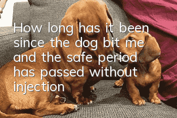 How long has it been since the dog bit me and the safe period has passed without injection? Is the ten-day observation method effective?
