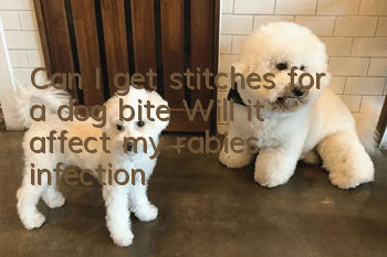 Can I get stitches for a dog bite? Will it affect my rabies infection?