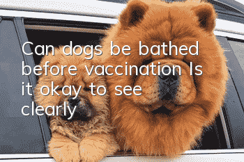 Can dogs be bathed before vaccination? Is it okay to see clearly?