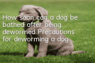 How soon can a dog be bathed after being dewormed? Precautions for deworming a dog