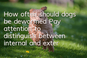 How often should dogs be dewormed? Pay attention to distinguish between internal and external bodies!