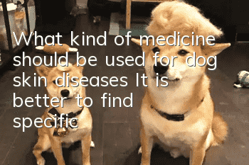 What kind of medicine should be used for dog skin diseases? It is better to find specific medicines than to prescribe the right medicines!