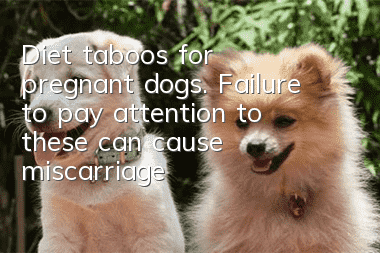 Diet taboos for pregnant dogs. Failure to pay attention to these can cause miscarriage!