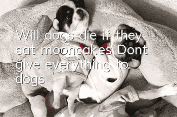 Will dogs die if they eat mooncakes? Don’t give everything to dogs!