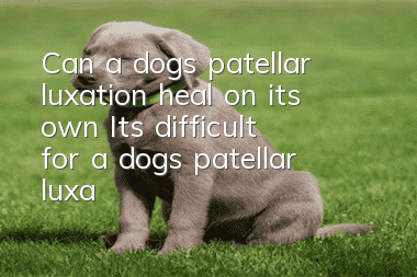 Can a dog’s patellar luxation heal on its own? It’s difficult for a dog’s patellar luxation to heal on its own.