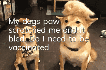 My dog's paw scratched me and it bled. Do I need to be vaccinated?