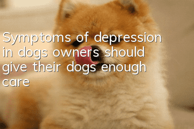 Symptoms of depression in dogs: owners should give their dogs enough care
