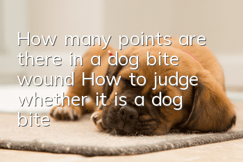 How many points are there in a dog bite wound? How to judge whether it is a dog bite?