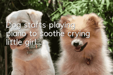 Dog starts playing piano to soothe crying little girl...