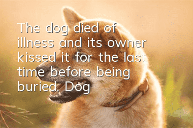 The dog died of illness and its owner kissed it for the last time before being buried. Dog: See you in the next life.