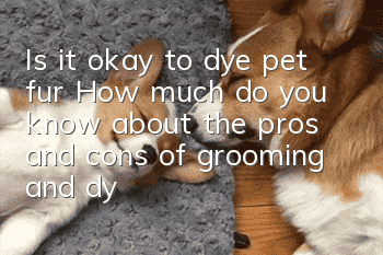 Is it okay to dye pet fur? How much do you know about the pros and cons of grooming and dyeing your pet?