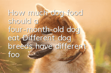 How much dog food should a four-month-old dog eat? Different dog breeds have different food intakes!