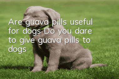 Are guava pills useful for dogs? Do you dare to give guava pills to dogs?
