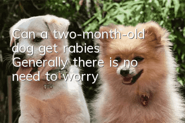 Can a two-month-old dog get rabies? Generally, there is no need to worry!