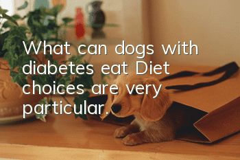 What can dogs with diabetes eat? Diet choices are very particular.