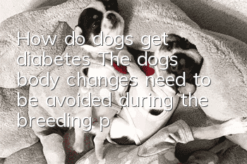 How do dogs get diabetes? The dog’s body changes need to be avoided during the breeding process