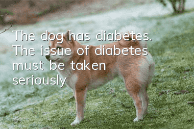 The dog has diabetes. The issue of diabetes must be taken seriously!