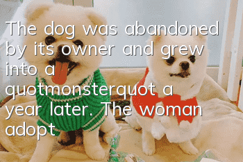 The dog was abandoned by its owner and grew into a "monster" a year later. The woman adopted it and made people uneasy.