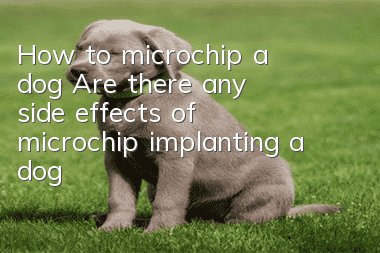 How to microchip a dog? Are there any side effects of microchip implanting a dog?