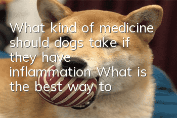What kind of medicine should dogs take if they have inflammation? What is the best way to give medicine to dogs?