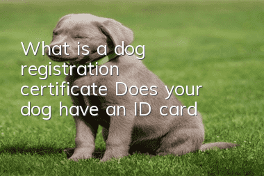What is a dog registration certificate? Does your dog have an ID card?
