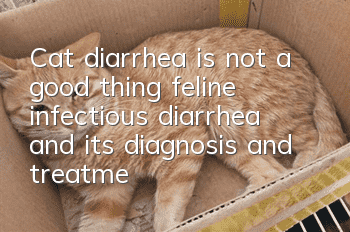 Cat diarrhea is not a good thing, feline infectious diarrhea and its diagnosis and treatment!