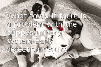 What to do if there is a problem with the puppy’s urinary system? Early detection requires early treatment.