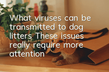 What viruses can be transmitted to dog litters? These issues really require more attention.