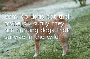 Why do dogs eat their owners? Usually they are hunting dogs that survive in the wild.