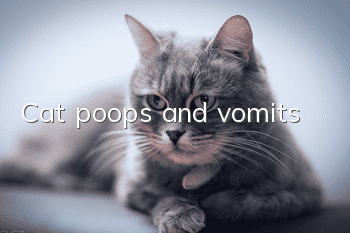 Cat poops and vomits