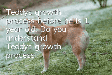 Teddy's growth process before he is 1 year old. Do you understand Teddy's growth process?