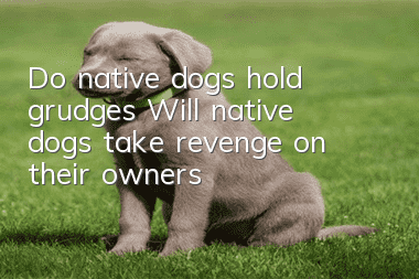 Do native dogs hold grudges? Will native dogs take revenge on their owners?
